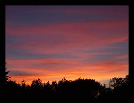 August Sunset with Silhouettes