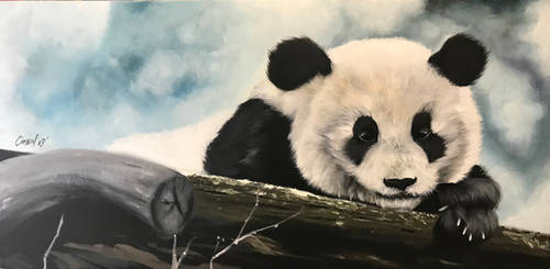 Panda Lazing on a Log