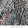 Stock Bark Texture 2