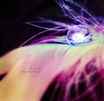 Rainbow Water Droplet by GinAngieLa