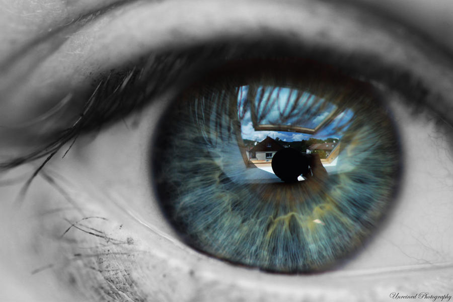 Spring Eye Reflection Eye reflection. by Unreined on DeviantArt