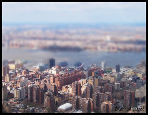 Mini New York City