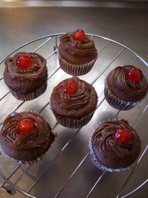 Chocolate cupcakes