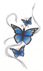 Butterfly