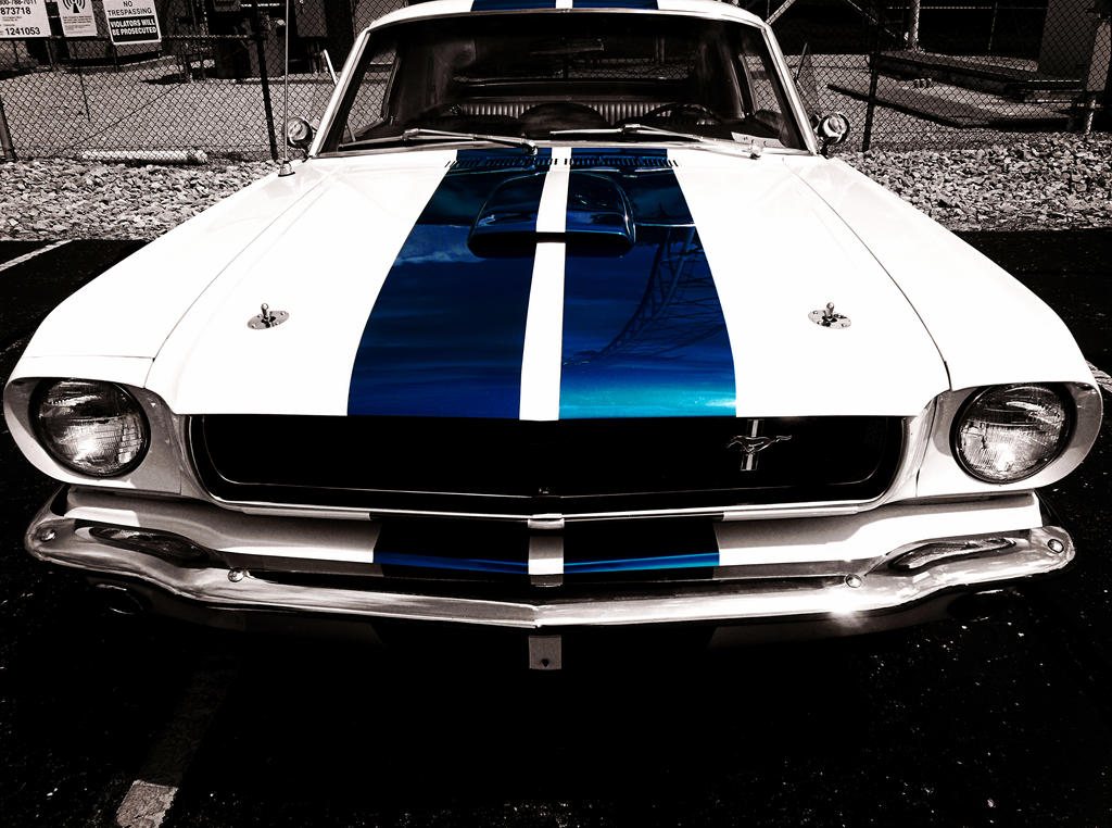 Racing Stripes by spacepirate04 on DeviantArt