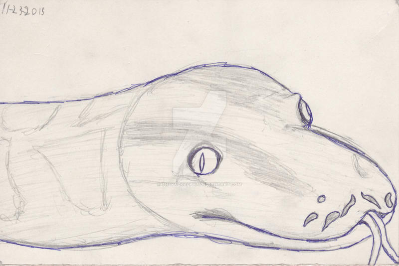Python by ThePackAlpha on DeviantArt