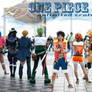 ONE PIECE Cosplay3