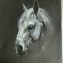 Horse drawing 