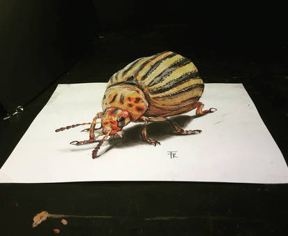 3d beetle (video link below)