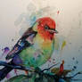 Colorfull Bird