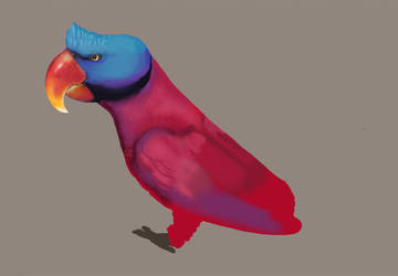 ~ Broad-billed Parrot WIP ~