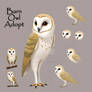 Barn Owl Exclusive Adoptable