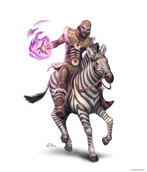 Riding Zebra