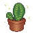 Cactus [F2U]