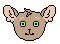 Pixel headshot