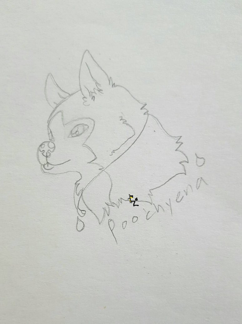 g: poochyena