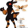 Cicada ref