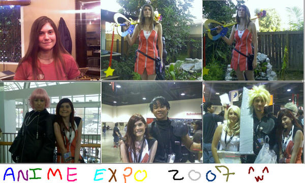 Anime Expo Collage OMG