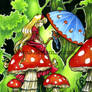 Mushroom lady
