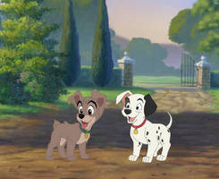Puppy Power