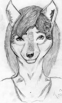 Anthro Wolf Drawing