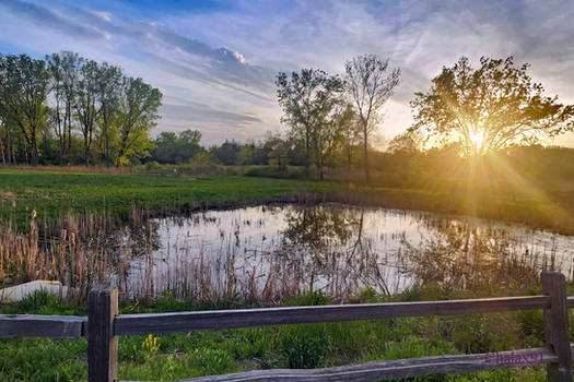 May 11, 2023 - At Bison's Pond