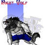 Night Wolf Character Designs - Night Wolf