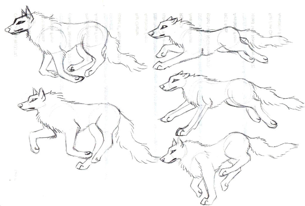 Wolf Pose Practice Running by icepaw99 on DeviantArt