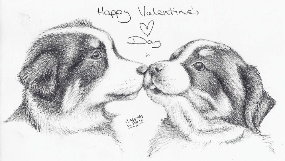 Valentine's Day Puppies