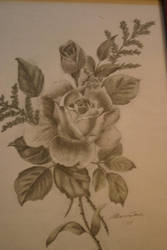 Black and White Rose