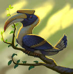 Great Hornbill by Mexus9