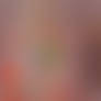 Slaughterhouse Pt 2 -COM for thelinesmen-