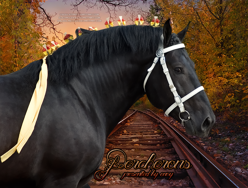 HP Percheron #1