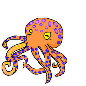 Octopus