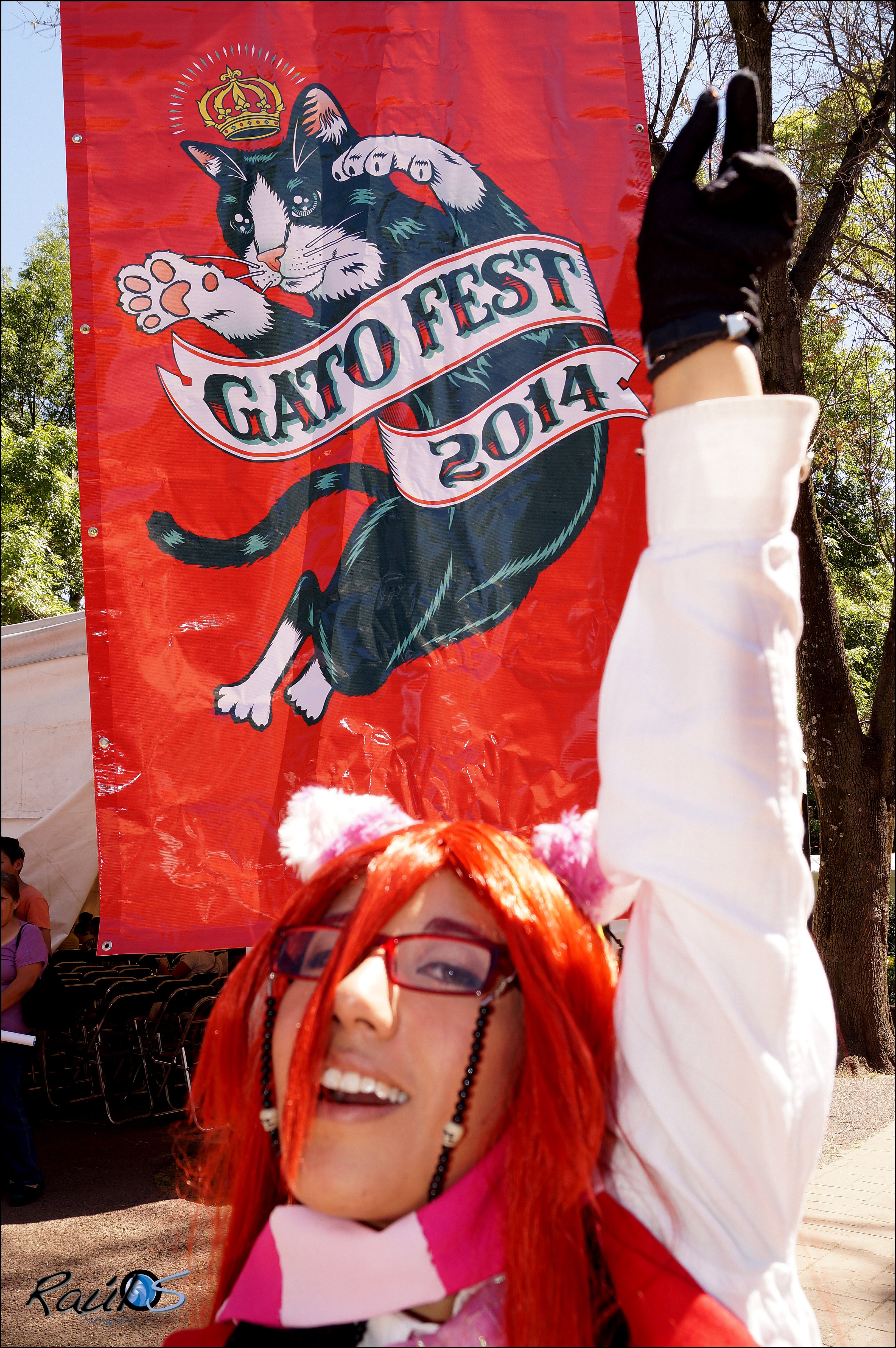 Welcome to Gatofest!