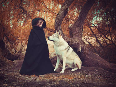 Girl and a wolf