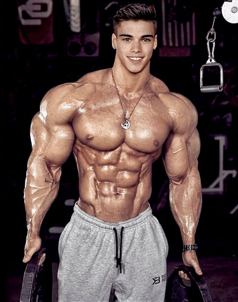 Engineer Muscle Model Muscle Model by Musclesponsor01 on DeviantArt