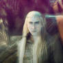 The Elvenking