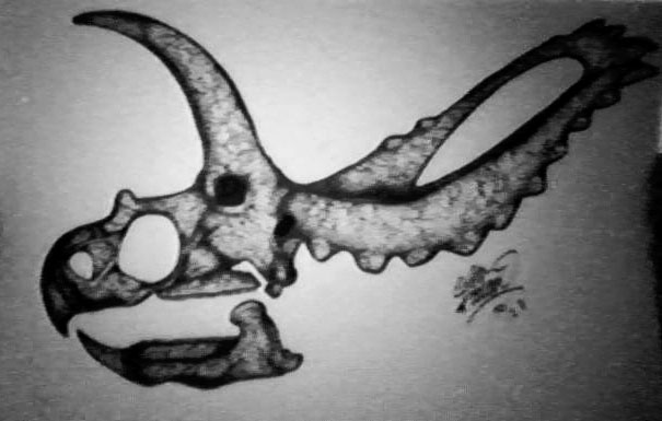 Coahuilaceratops skull ii by megaobeseflounder