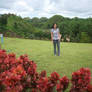 chocolate hills