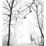November Fog