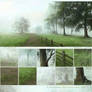 DP II - Foggy details