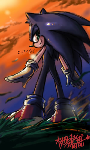 Sonic :: I can fly