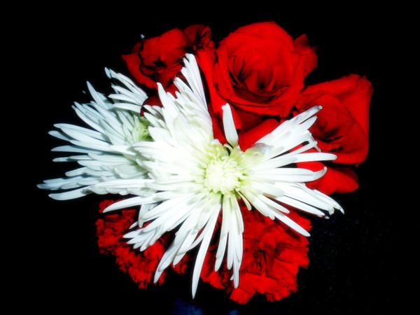 Funeral Flowers by burnbutterflyx on DeviantArt
