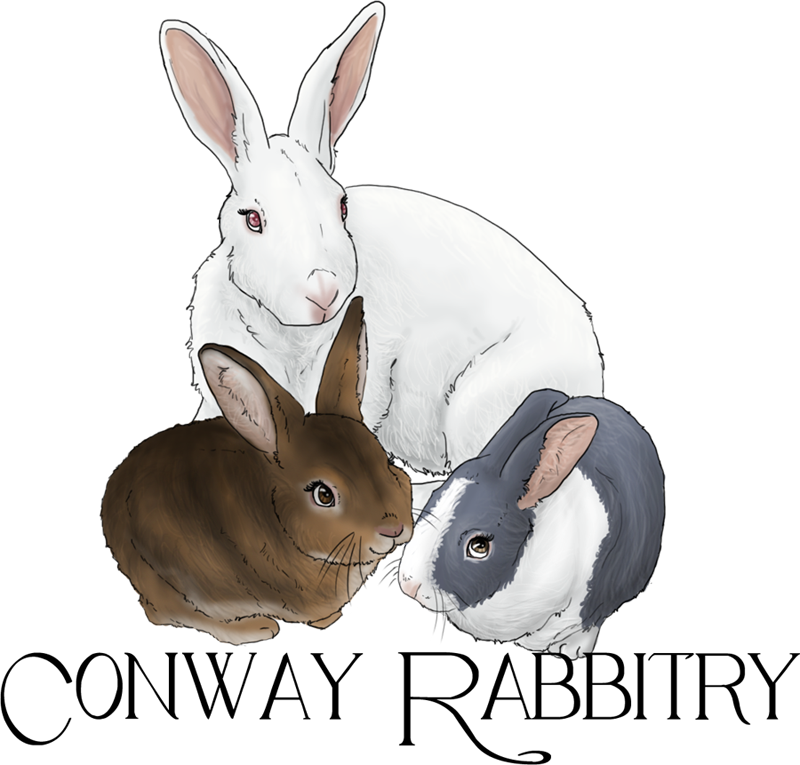 Conway Rabbitry Logo by LeavingNeverland on DeviantArt