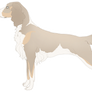 Wiltshire Spaniel Custom for Cikan-Pes