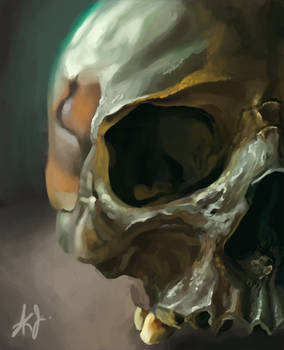 Skull study !