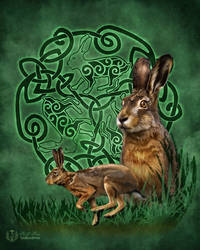 Celtic Hare