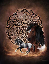 Celtic Horse