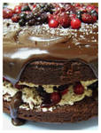Chocolate Berry Mud Cake by RainbowsandDaydreams